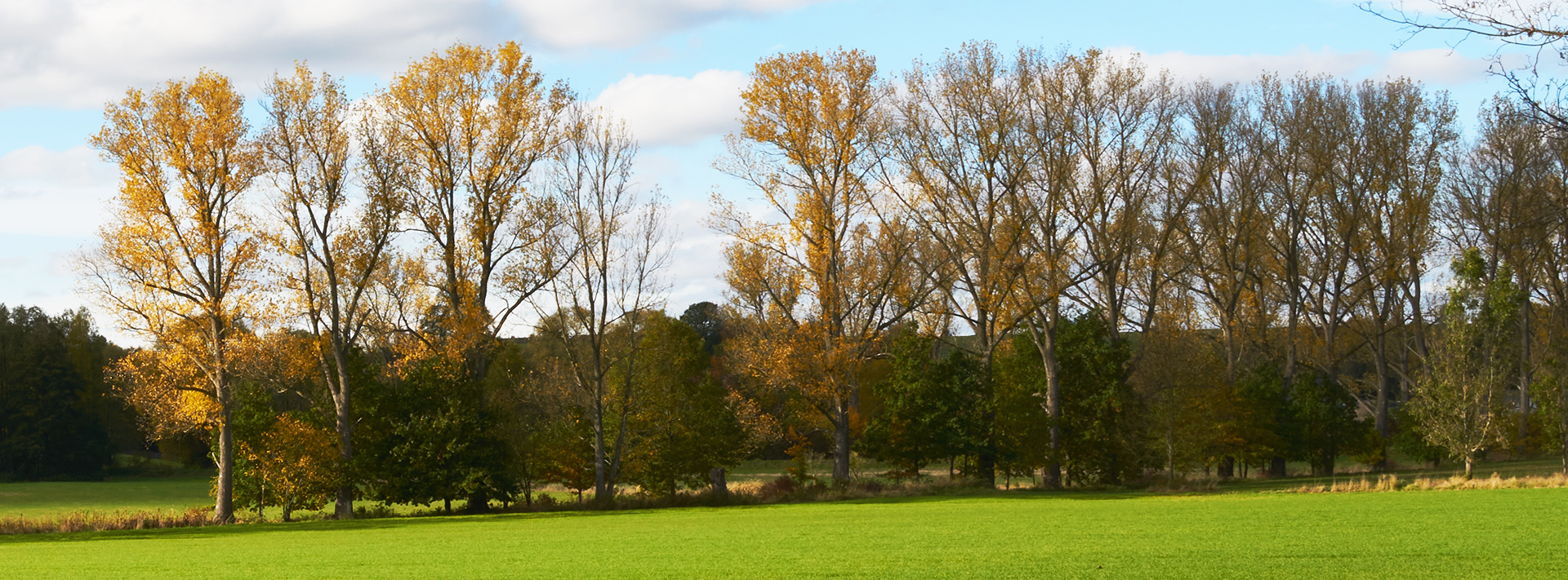 Flöha Herbst